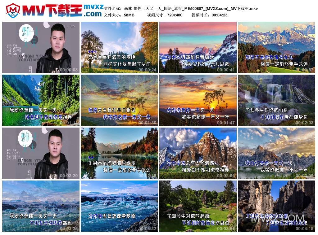 暴林-想你一天又一天_国语_流行_ME500807